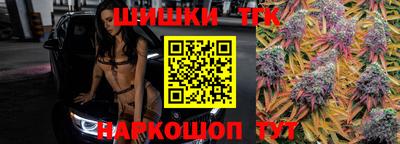 индика Лесосибирск