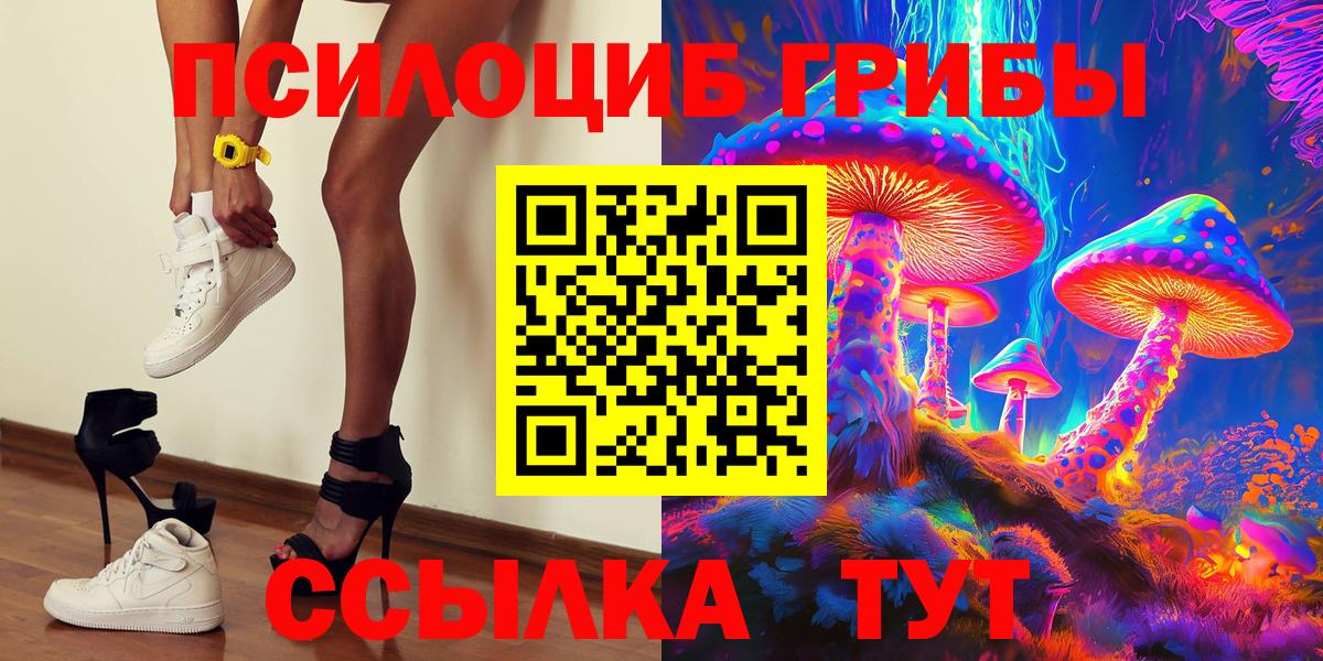 Галлюциногенные грибы Cubensis Касимов