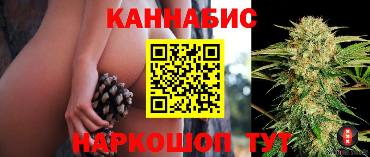 Бошки марихуана план  Вход с VPN  Шишки марихуана Ganja  Каннабис Amnesia  Касимов 
